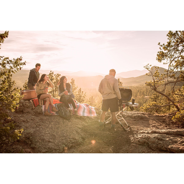 Гриль газовый Weber Traveler черный, 9010075